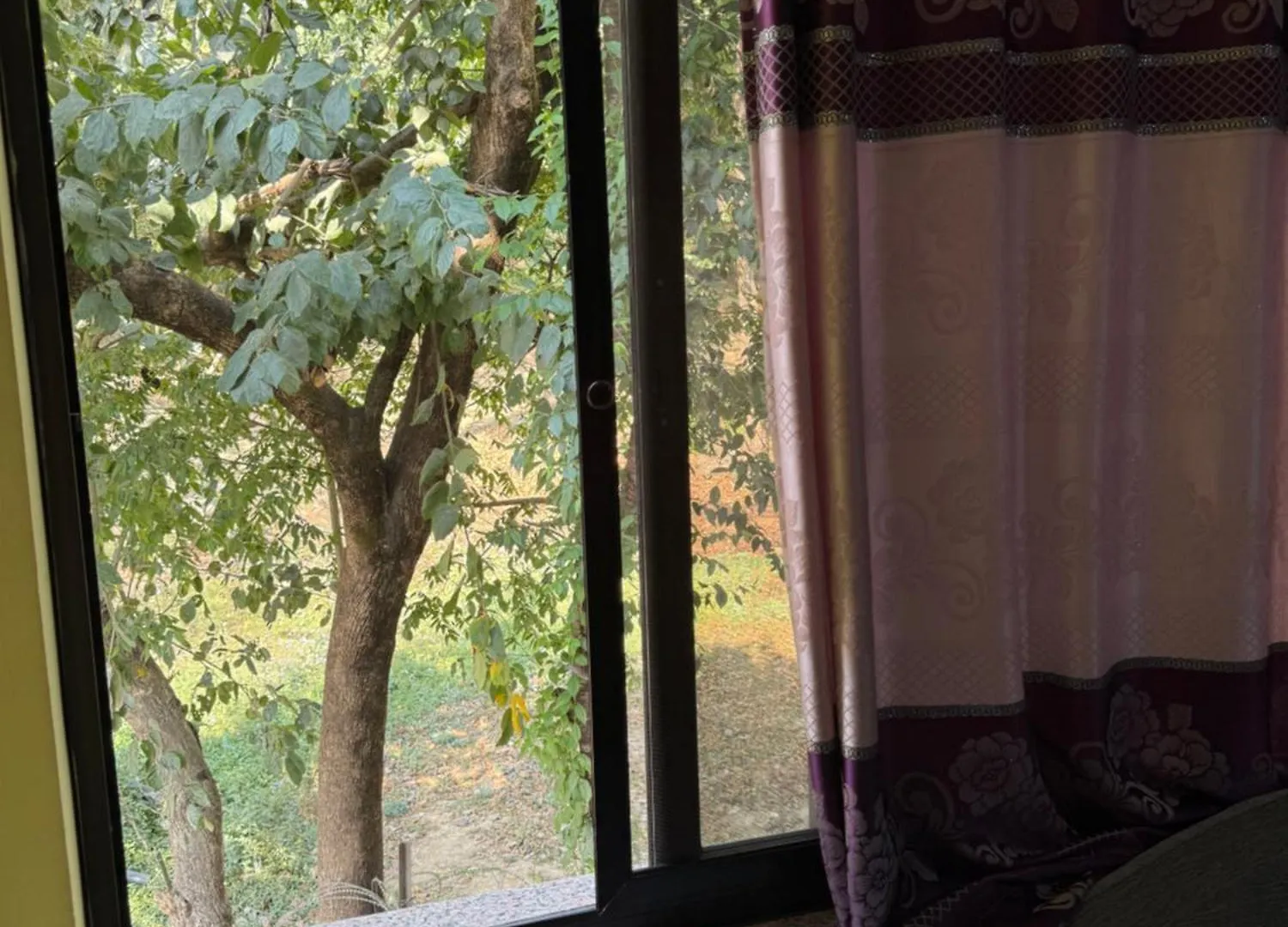 Snp House Near Forest, Fresh Air Kathmandu Nepal